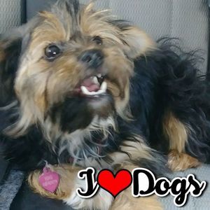 Meet your Posher, Jacqueline